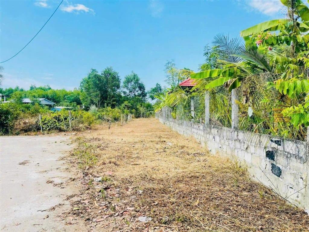 Đất xây nhà vườn mini ở hòa tiến, 246m2 có 120m2 đất ở giá tốt