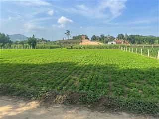 Đất trồng cây hằng năm 500m2 đường ô tô thông xã hòa nhơn giá chỉ 490 triệu