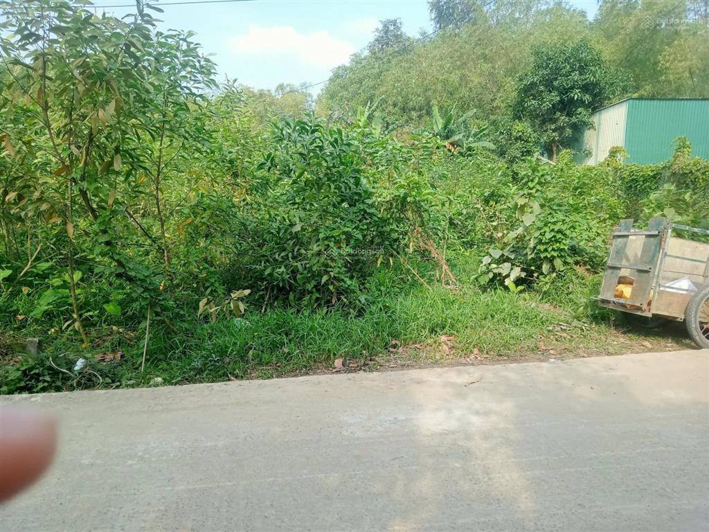 Đất trồng cây lâu năm 2 mặt kiệt 596m², tứ bề là nhà dân ở đông xã bà nà.