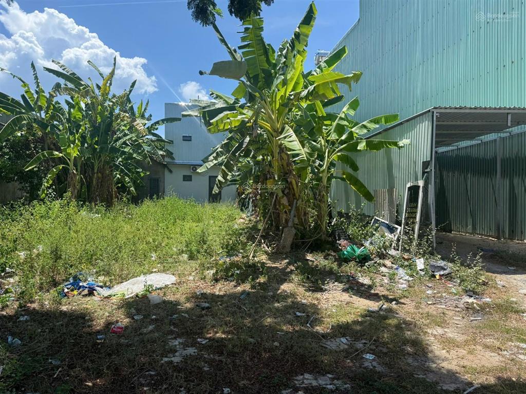 Đất tái định cư đại la 5, gần hoàng văn thái 100m², giá tốt giá sụp hầm