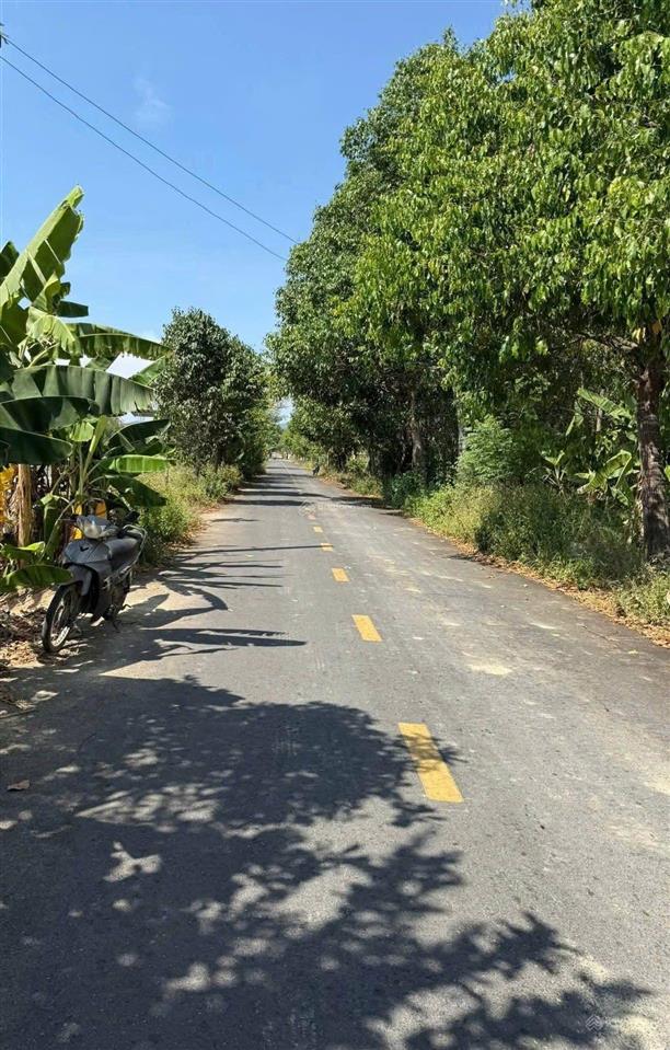 Đất trồng cây hằng năm mặt tiền đường nhựa gần đường dh2, gần ủy ban xã hòa nhơn 900m²