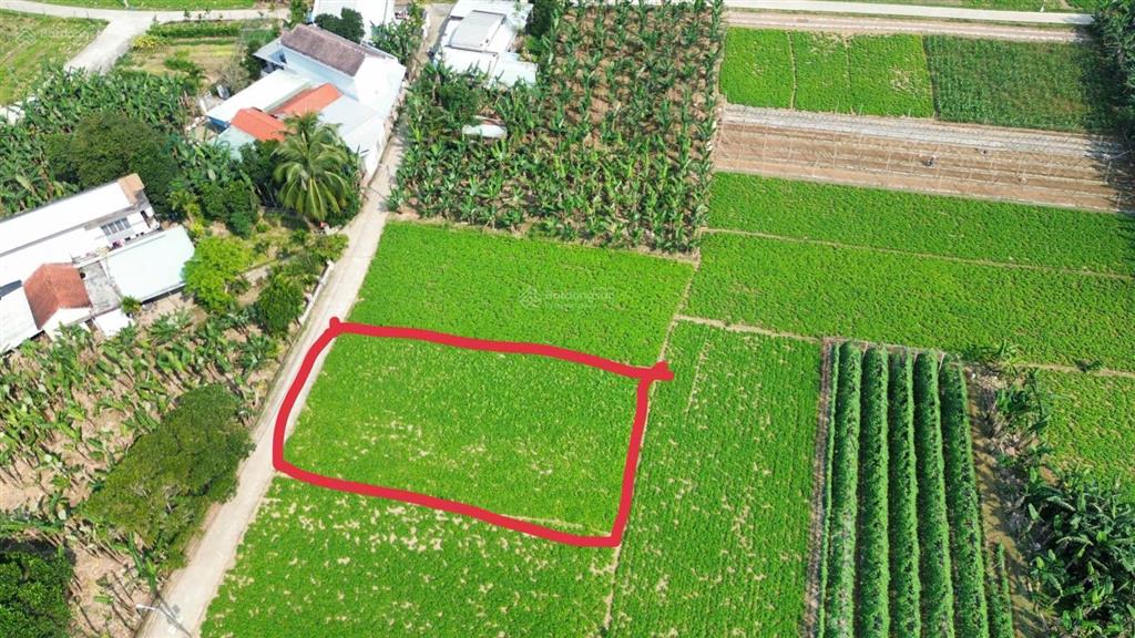 Siêu phẩm đất trồng cây hằng năm 550m2, tứ bề là nhà dân ở xã bà nà