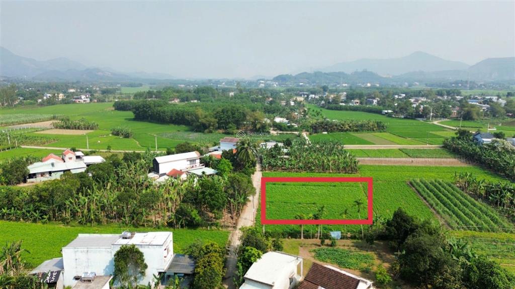 Siêu phẩm đất trồng cây hằng năm 550m2, tứ bề là nhà dân ở xã bà nà
