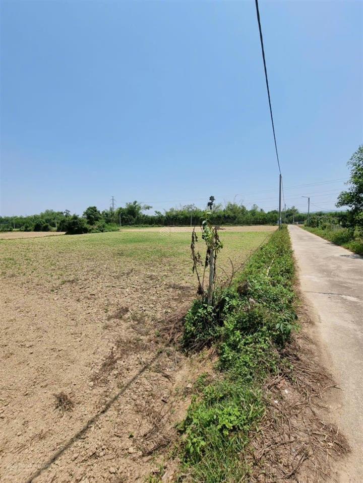 Bán siêu phẩm đất trồng cây hằng năm 966m2, gần nhà dân, gần nhựa ngang rộng 26m