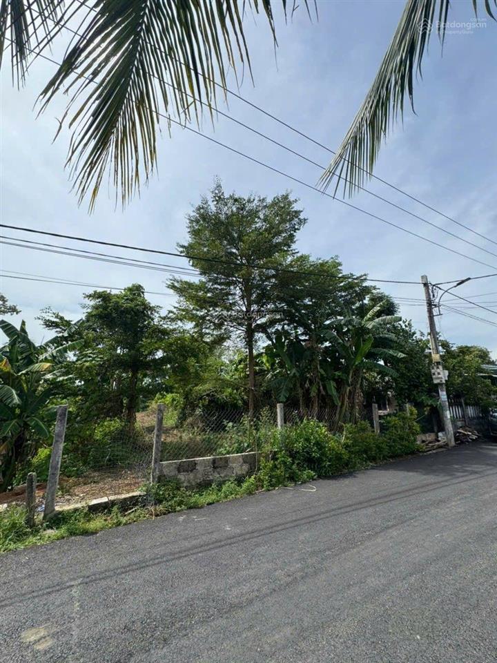 Đất gần nam kỳ khởi nghĩa, đường nhựa 2 ô tô 451m² có 200m² đất ở ngang 12m