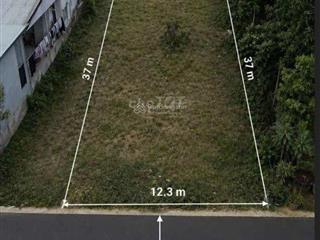 Đất gần nam kỳ khởi nghĩa, đường nhựa 2 ô tô 451m² có 200m² đất ở ngang 12m