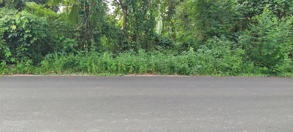 Đất vườn hòa vang, 500m2 có 300m2 đất ở ngang 10m giá rẻ chỉ 1.8 tỷ