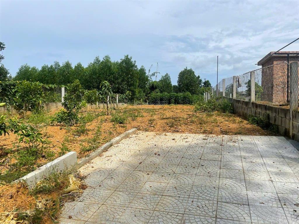 Đất xây nhà vườn mini, 300m2 có 150m2 đất ở ngang rộng 10m