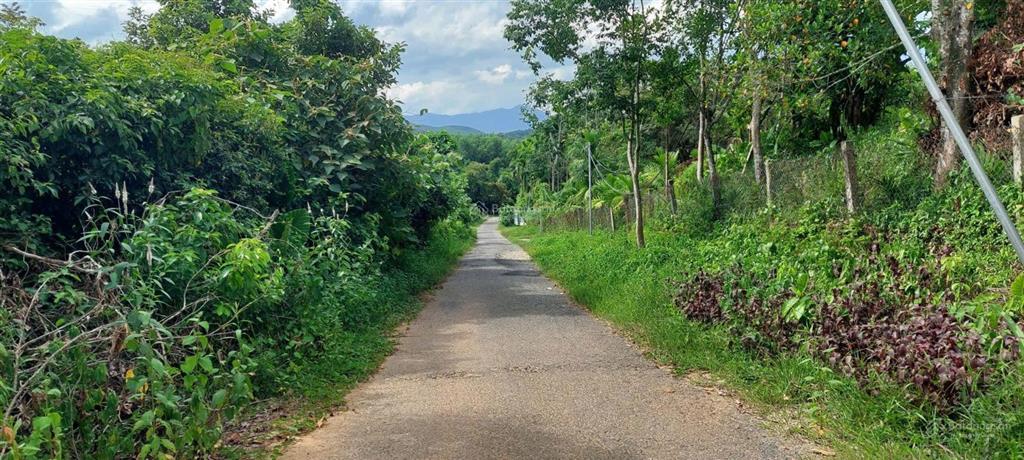 Đất mặt tiền đường nhựa 2 ô tô view đồi núi, gần sông 1500m2 có 120m2 đất ở