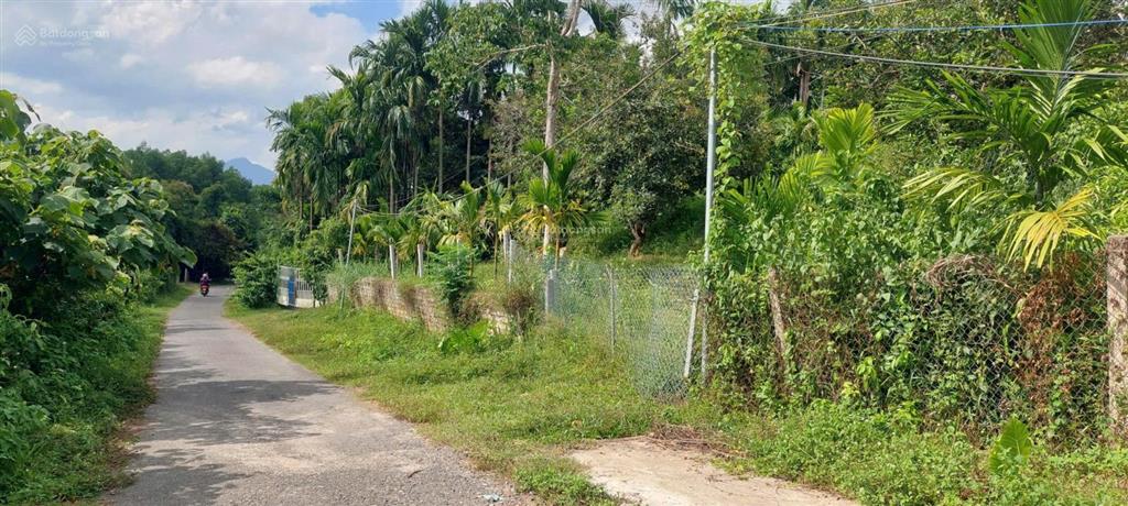 Đất mặt tiền đường nhựa 2 ô tô view đồi núi, gần sông 1500m2 có 120m2 đất ở