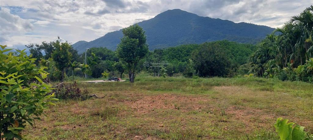 Đất mặt tiền đường nhựa 2 ô tô view đồi núi, gần sông 1500m2 có 120m2 đất ở
