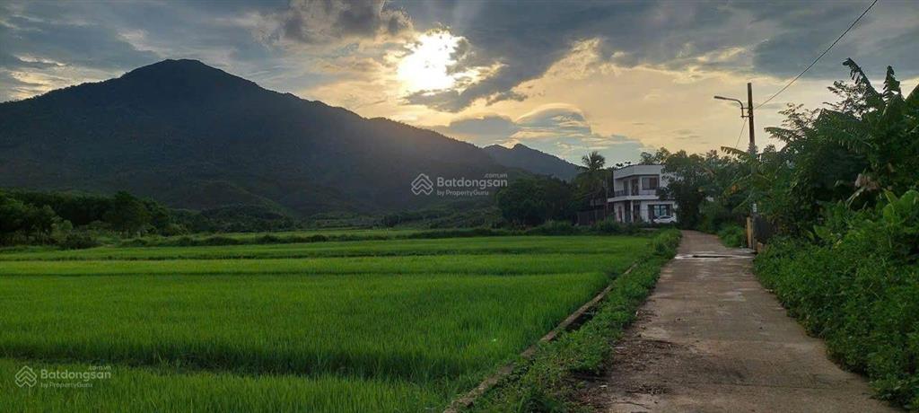 Bán nhà vườn 1000m2 có 133m2 đất ở ngang rộng 29m mặt tiền đường nhựa.