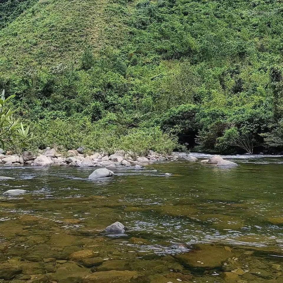 Bán nhà vườn 1000m2 có 133m2 đất ở ngang rộng 29m mặt tiền đường nhựa.