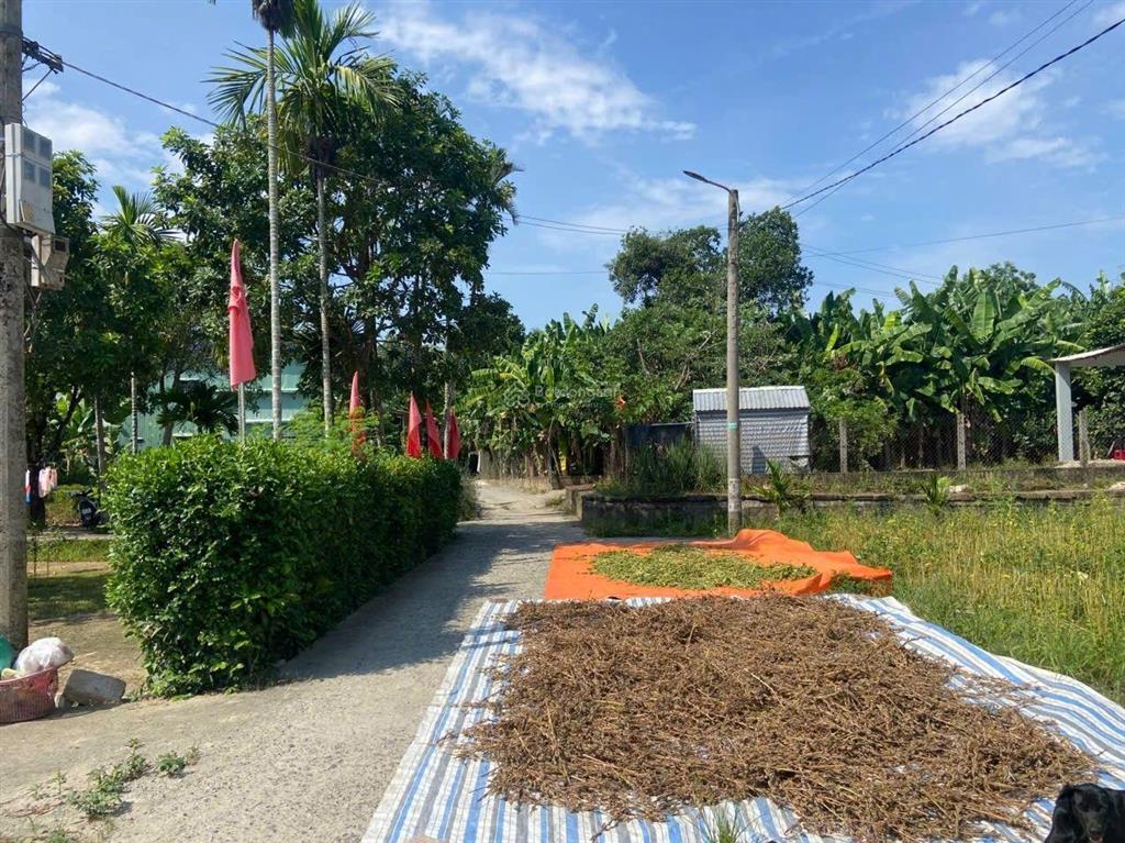 Đất cẩm toại tây, 172m2 có 120m2 đất ở giá 800 triệu