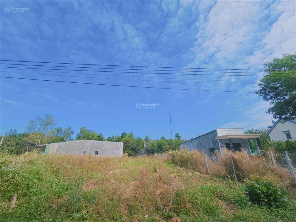 Cần bán lô đất xây trọ hoặc xây nhà. 12x53m đường nhựa giá chỉ 2tỷ5