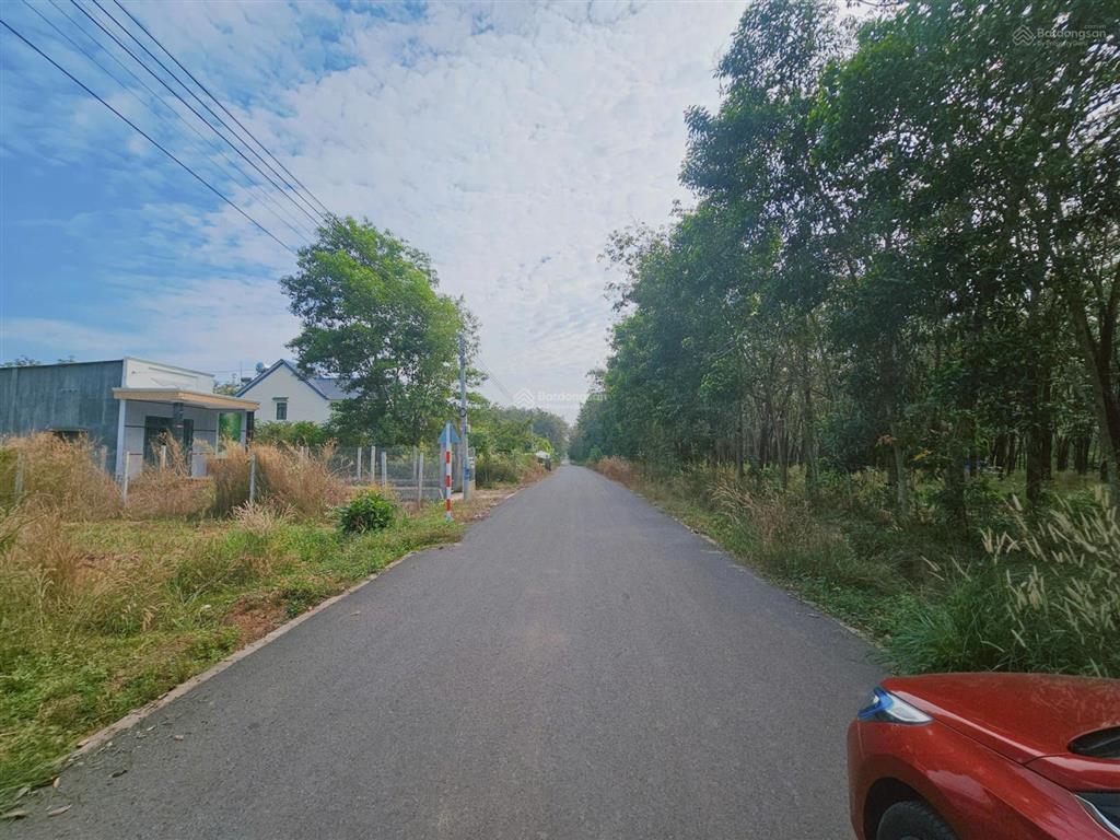 Cần bán lô đất xây trọ hoặc xây nhà. 12x53m đường nhựa giá chỉ 2tỷ5