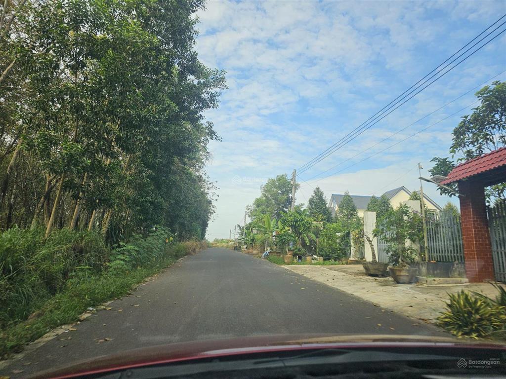 Cần bán lô đất xây trọ hoặc xây nhà. 12x53m đường nhựa giá chỉ 2tỷ5