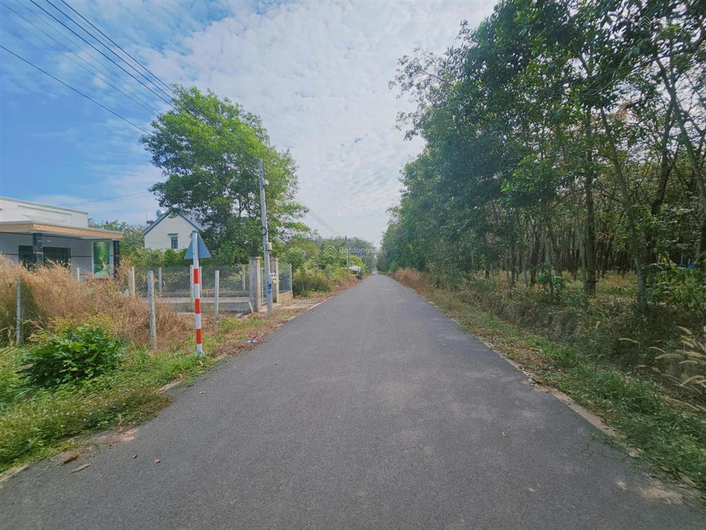 Cần bán lô đất xây trọ hoặc xây nhà. 12x53m đường nhựa giá chỉ 2tỷ5