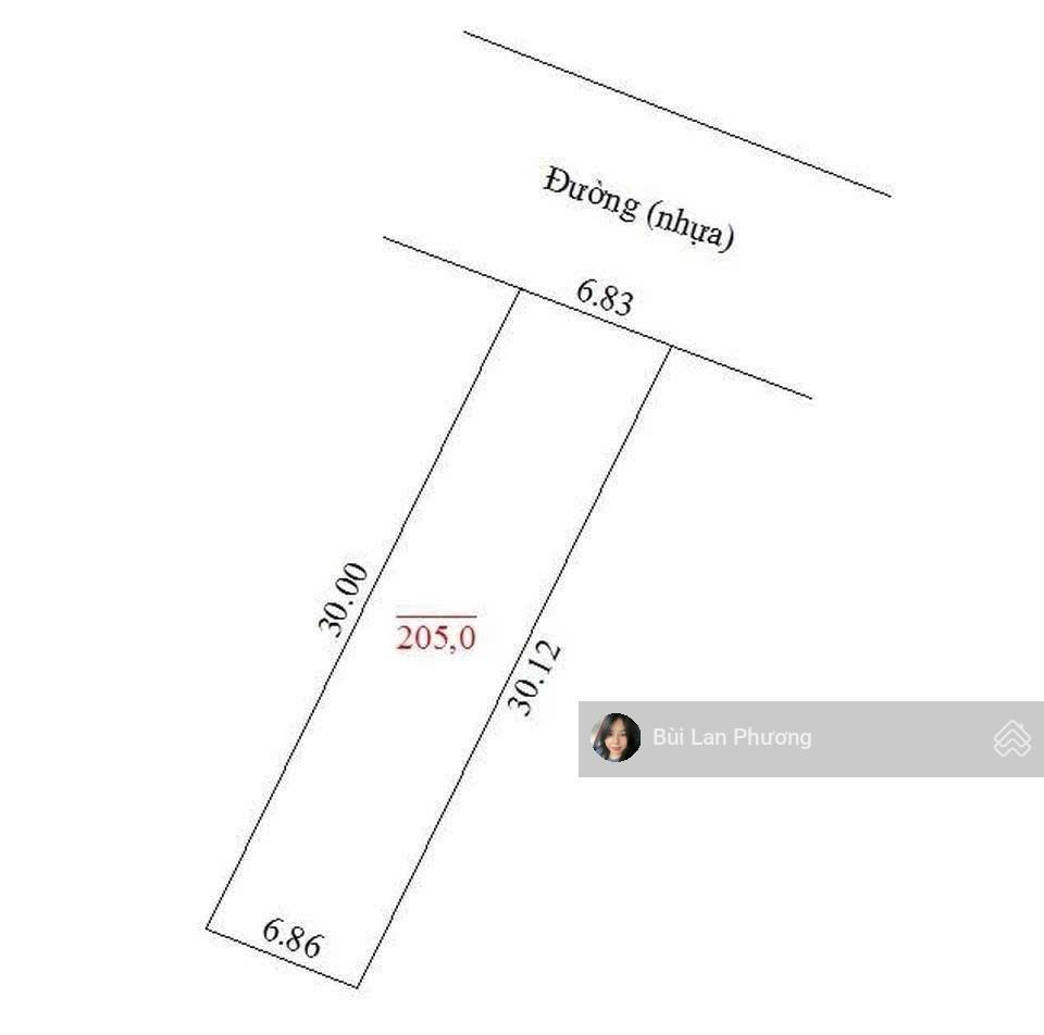 Hàng hiếm nằm ở trục chính chóng mặt đường rộng 205m2 full thổ cư