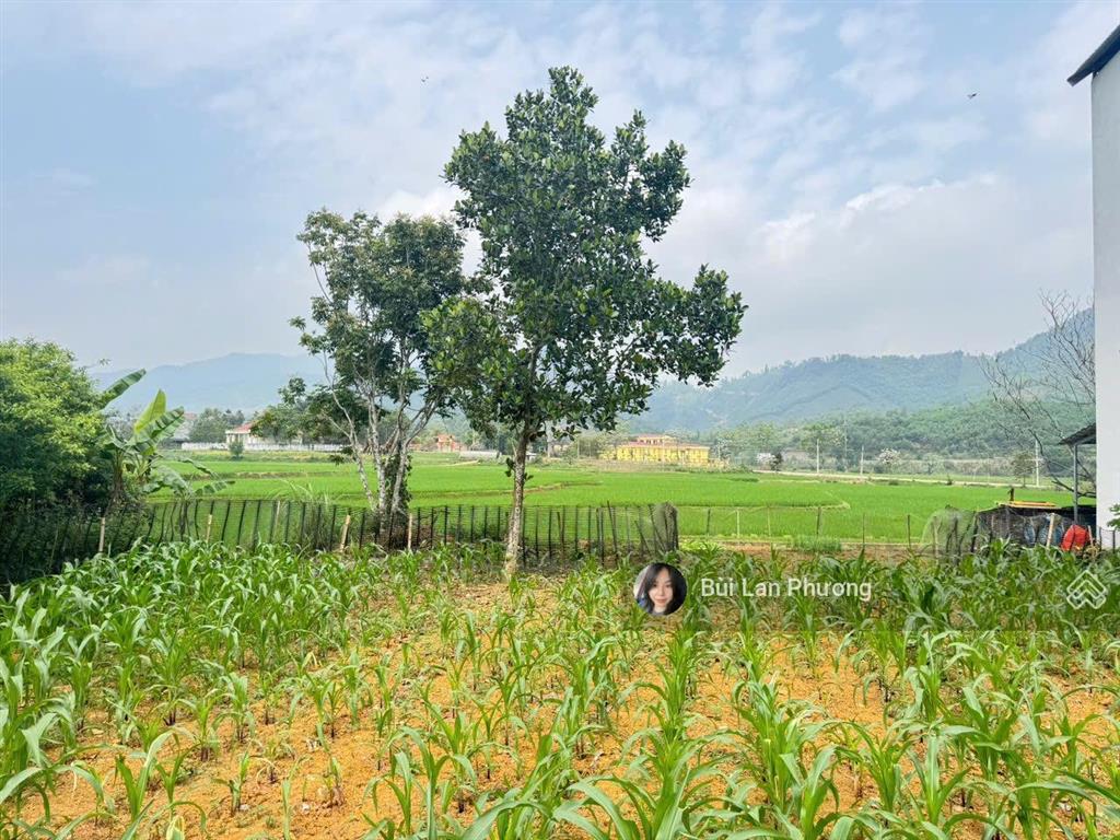 Cần bán 500m2 tại yên trung gần uỷ ban cũ cách trục 446 chỉ 30m.  0974 715 ***