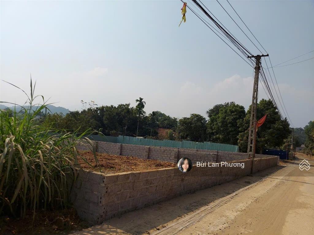 Trục chính muỗi cách tl 87 chỉ 300m diện tích 305m2 đẹp mặt đường  0974 715 ***