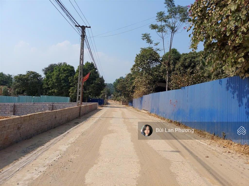 Trục chính muỗi cách tl 87 chỉ 300m diện tích 305m2 đẹp mặt đường  0974 715 ***