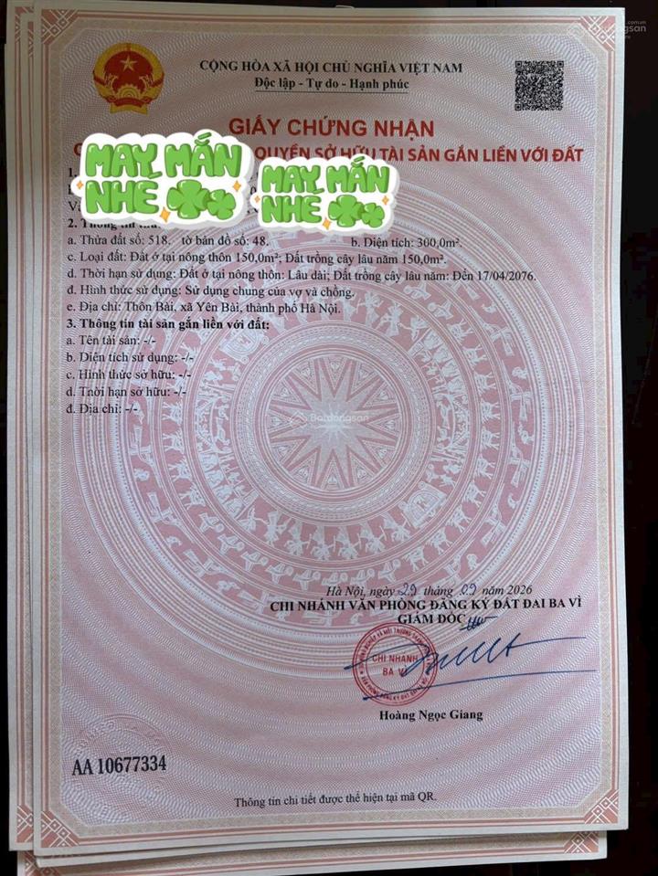 Sổ mới toanh 500m2 thổ cư tận 350m đã chia sẵn làm 2 sổ tại thôn bài  yên bài.