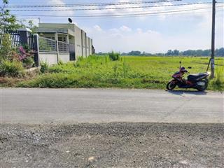 Bán đất tại đức ngãi, 1,65 tỷ, 137,5 m2 giá siêu hời chỉ với