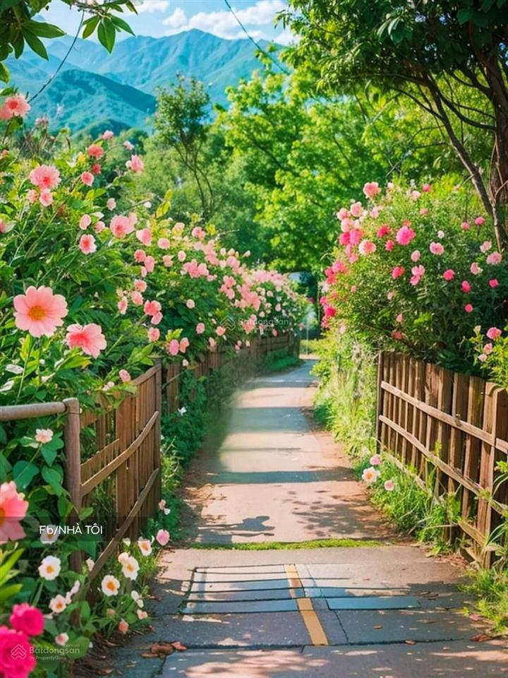 Bán nhà riêng tại thị trấn cái bè, 4,05 tỷ , 2270 m2, chính chủ, giá siêu hời