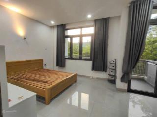 Cho thuê nhà tm dv phú mỹ dt 7*17m, 3 phòng ngủ, 3wc