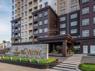 Cho thuê căn hộ the view (midori) tp mới bình dương vsip2