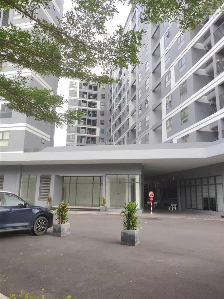 Cho thuê căn hộ biconsi phú mỹ
diện tích 60m, 2pn, 2wc