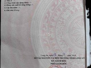 cần bán đất gấp