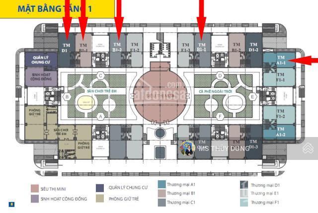 Bán căn trệt tại cc 35 hồ học lãm an lạc bình tân. thiết kế 2 mặt tiền 197m2 tiện ở và kinh doanh