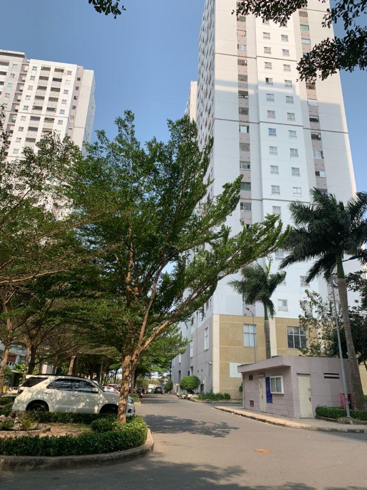 Căn hộ sổ riêng hqc plaza giá 1,250 tỷ có 2pn, 2wc, sở hữu lâu dài.  0909 456 158