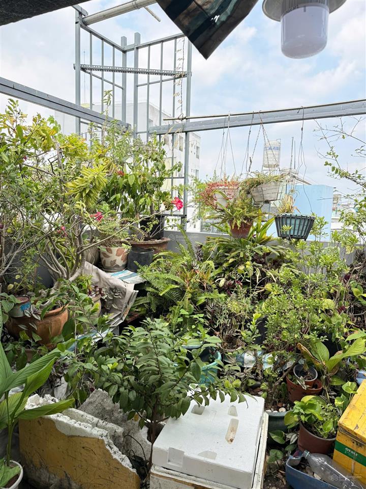 Bán nhà hẽm 2 sẹc đường âu cơ, giá 5,25 tỷ