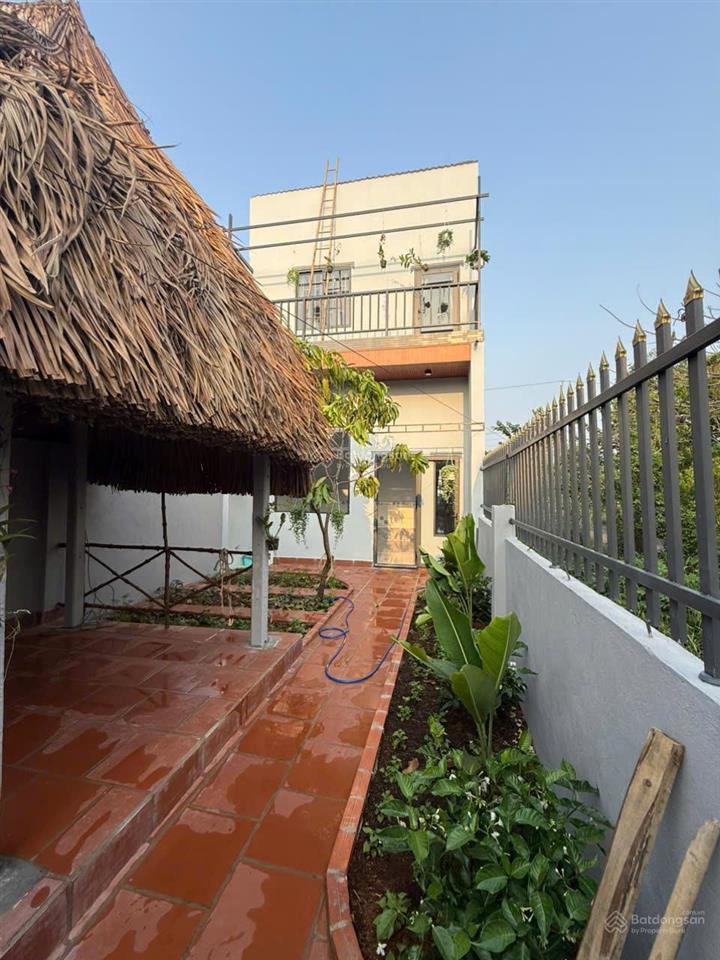 Mặt tiền đường nhựa rừng dầu, kinh doanh đa ngành nghề, xã mỹ hạnh bắc h, đức hoà long an