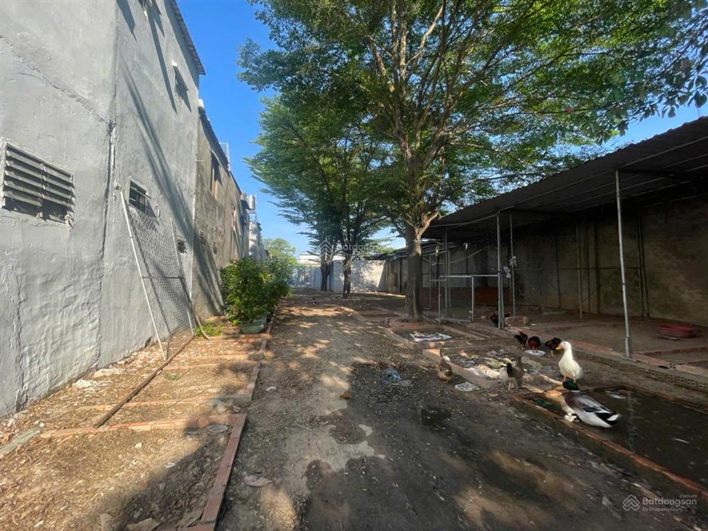 939m2 gần ngã 3 đông quang  thổ cư 100m2. phù hợp làm nhà vườn/ kho xưởng