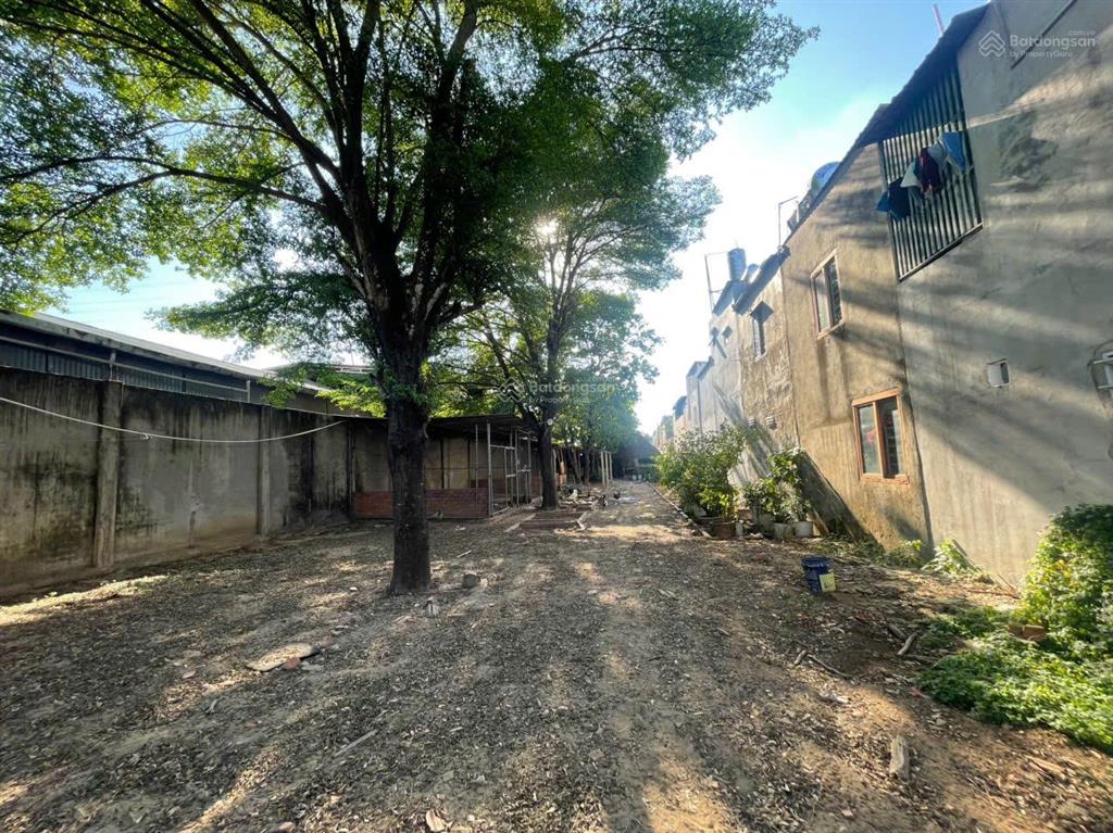 939m2 gần ngã 3 đông quang  thổ cư 100m2. phù hợp làm nhà vườn/ kho xưởng