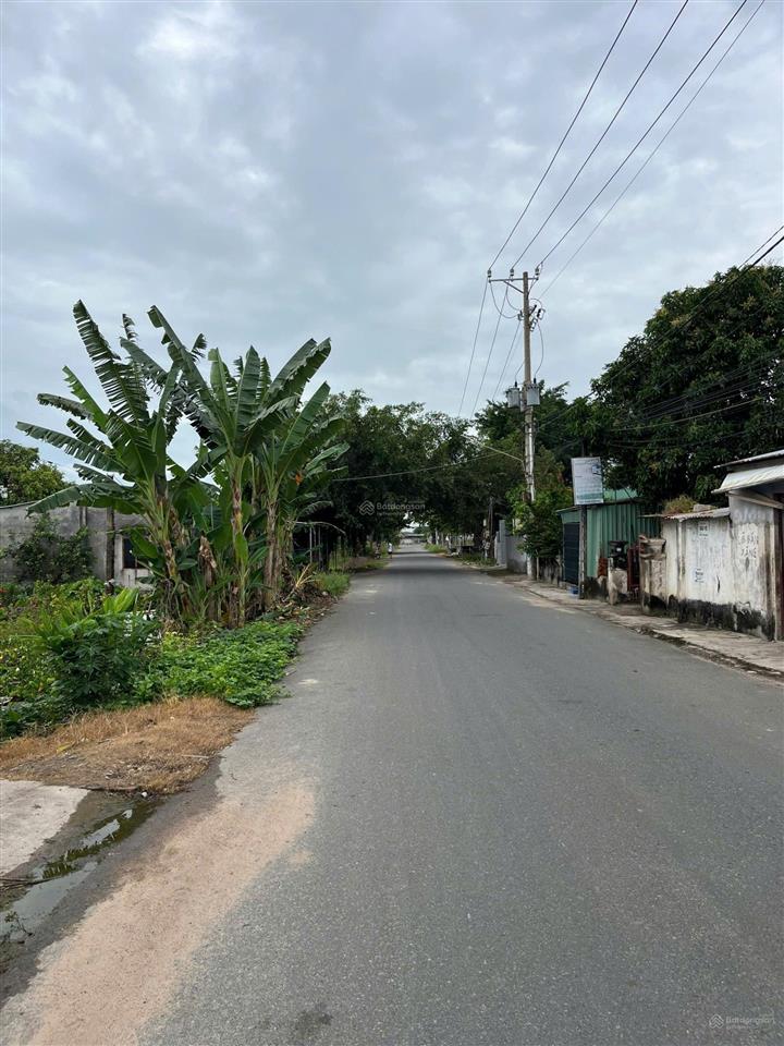 Chủ bán gấp về quê, đất biệt thự vườn, mặt tiền đường nhựa, sổ hồng có sẵn, giá rẻ