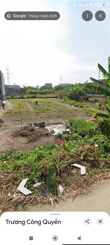 Chủ bán gấp về quê, đất biệt thự vườn, mặt tiền đường nhựa, sổ hồng có sẵn, giá rẻ