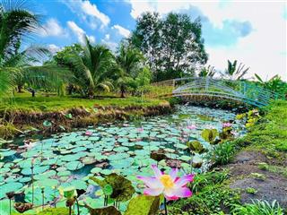 Bán khu nghỉ dưỡng đã hoàn thiện, dt gần 10000m2, sổ đỏ đầy đủ, giá rẻ bất ngờ