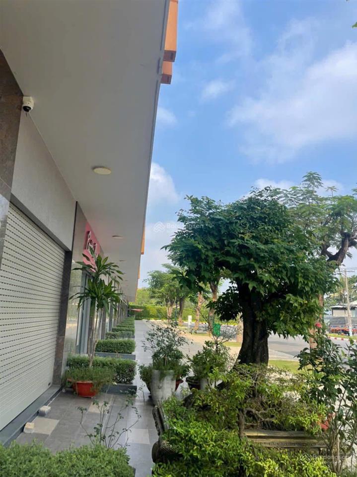Bán shophouse premier trịnh quang nghị 1 trệt 3 lầu