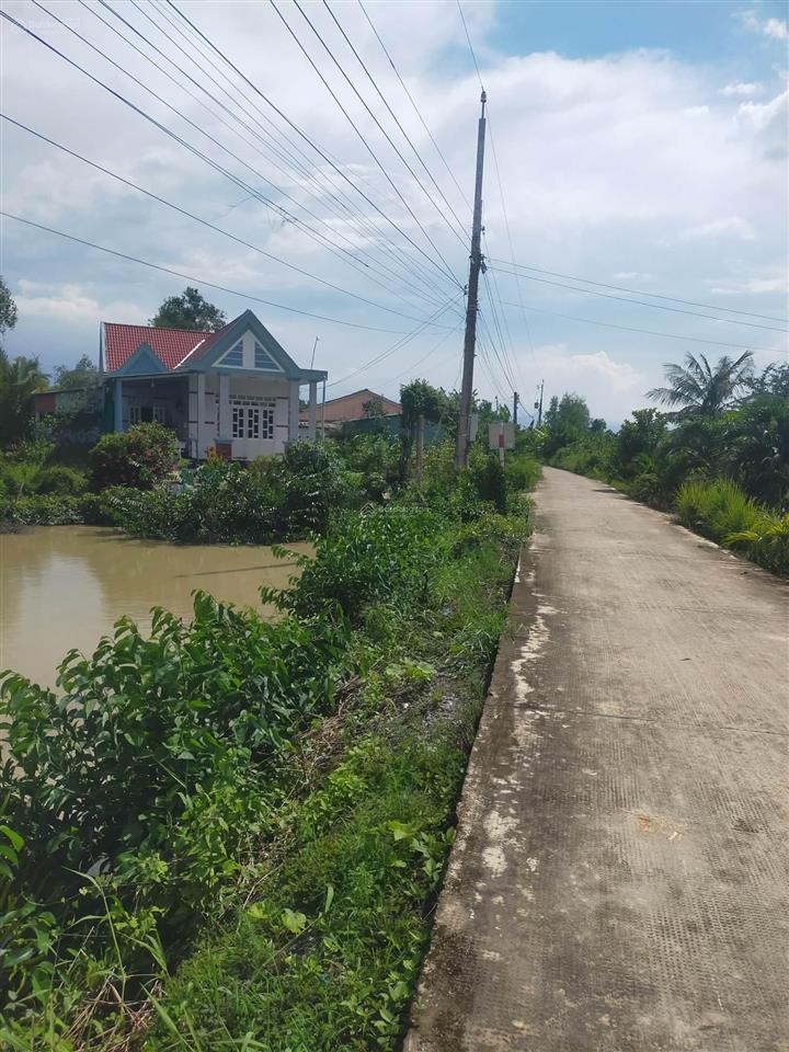 Bán 1984,6m2 đất lúa mặt tiền ngoài đê vàm cỏ tây, nhựt long khu dân cư đông, đầu tư lâu dài