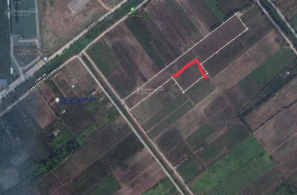 Bán đất vườn kênh 4 xã bình lợi, bình chánh. diện tích lớn, giá tốt