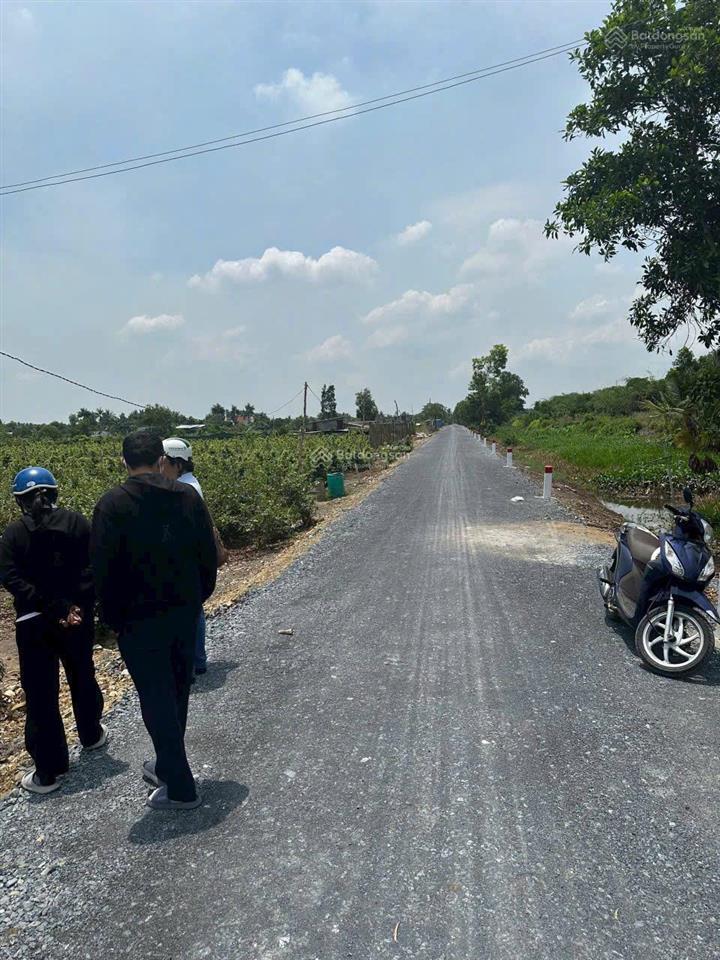 Bán đất vườn kênh 4 xã bình lợi, bình chánh. diện tích lớn, giá tốt