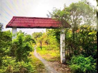 Cần bán 7000 m2 đất vườn tại xã tân quý tây, huyện bình chánh. đường xe cont vào được