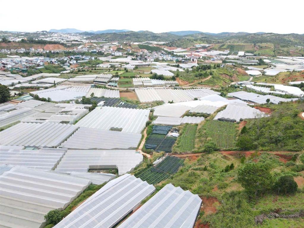 500m2 đất đà lạt mà giá chỉ 1,5 tỷ, đường 5m