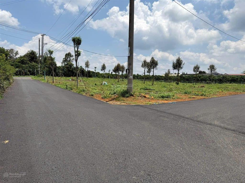 500m2 đất đà lạt mà giá chỉ 1,5 tỷ, đường 5m