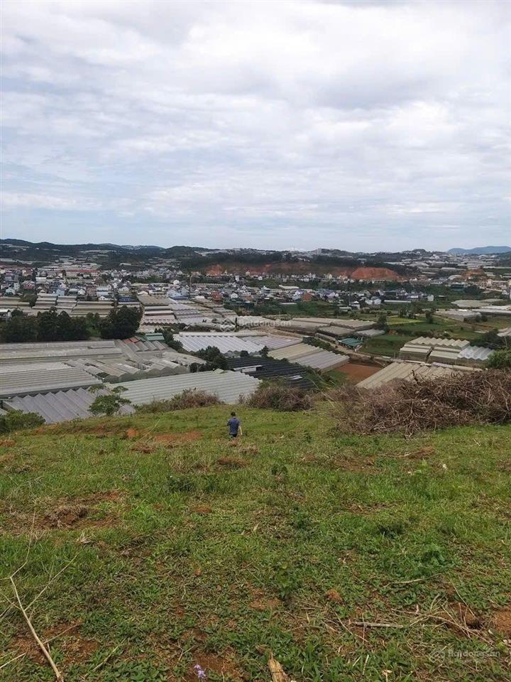 500m2 đất đà lạt mà giá chỉ 1,5 tỷ, đường 5m